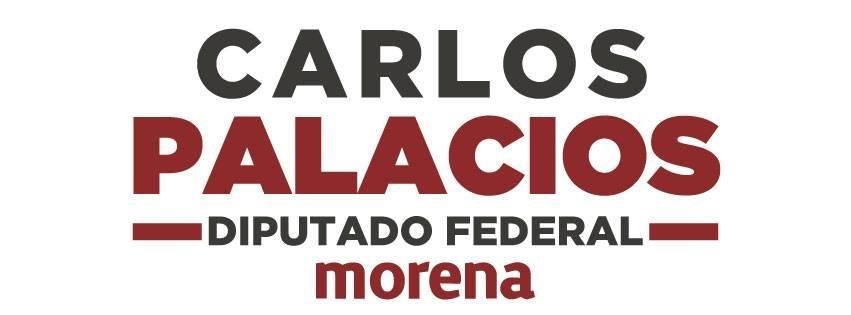 Carlos Palacios - Diputado Federal